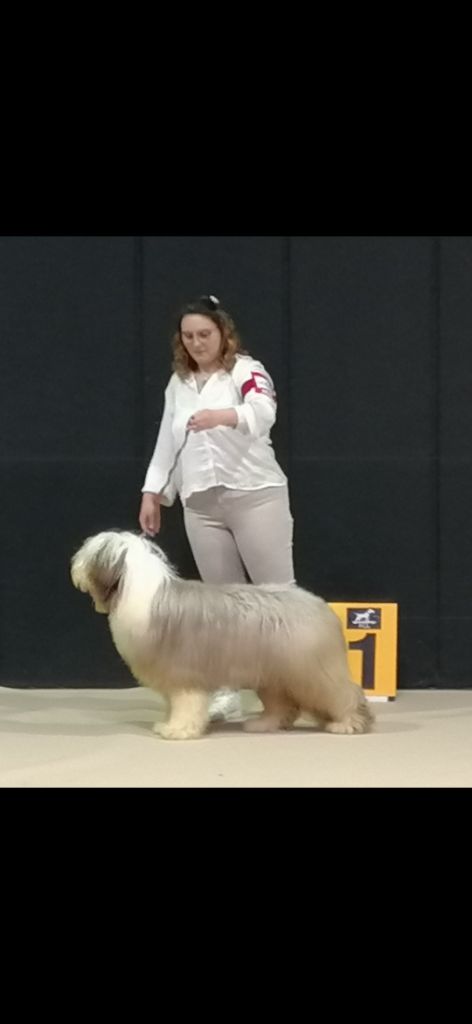 Ugolin de L'Ouvernhat